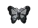 P9190273-removebg-preview-1.webp