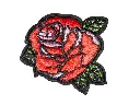 P3230238-removebg-preview-1.webp