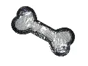 PA200218-removebg-preview-1.webp
