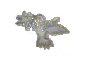P2010337-removebg-preview-1.webp