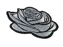 P2050344-removebg-preview-1.webp
