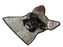P3030348-removebg-preview-1.webp