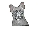 P3030339-removebg-preview-1.webp