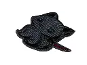 P4040343-removebg-preview-1.webp