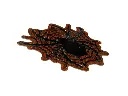 Patch toile araignée dorée 05.webp