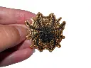 Patch toile araignée dorée 01.webp