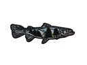 Écusson brodé thermocollant Poisson saumon montagne